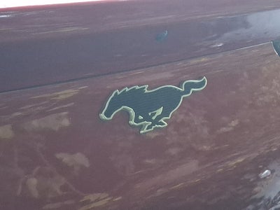 2022 Ford Mustang Mach-E Premium