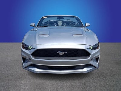 2019 Ford Mustang EcoBoost