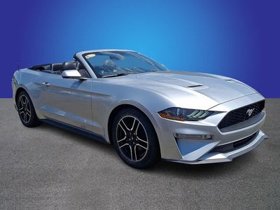 2019 Ford Mustang EcoBoost