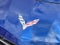 2018 Chevrolet Corvette Stingray 3LT