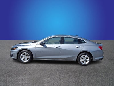 2024 Chevrolet Malibu FL