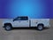 2025 Chevrolet Silverado 3500 HD WT