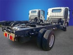 2024 Chevrolet Low Cab Forward 3500 Base