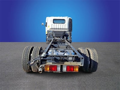 2024 Chevrolet Low Cab Forward 5500 XG Base