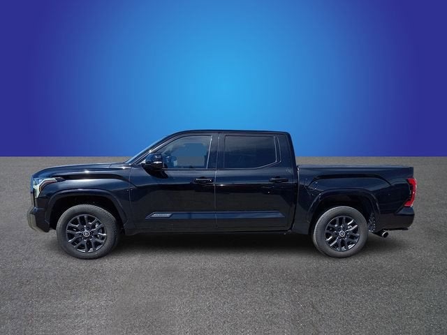 2024 Toyota Tundra 4WD Platinum
