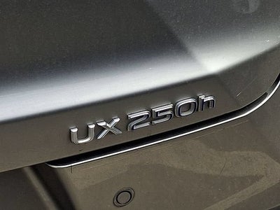 2020 Lexus UX UX 250h