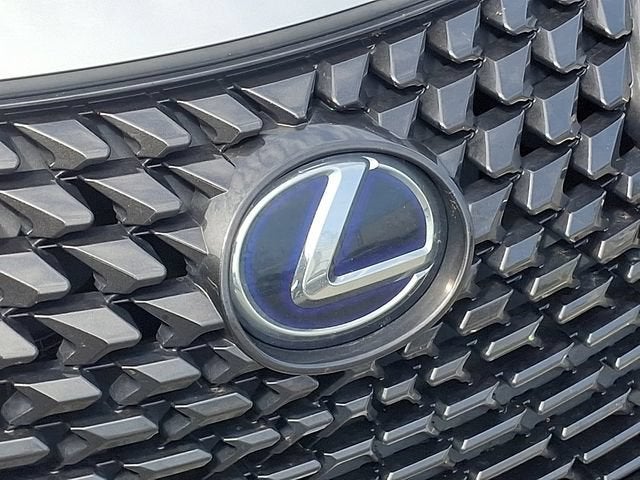 2020 Lexus UX UX 250h