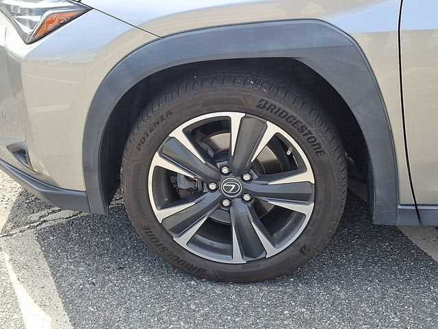 2020 Lexus UX UX 250h