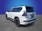 2023 Lexus GX GX 460