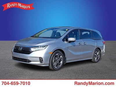 2024 Honda Odyssey Elite